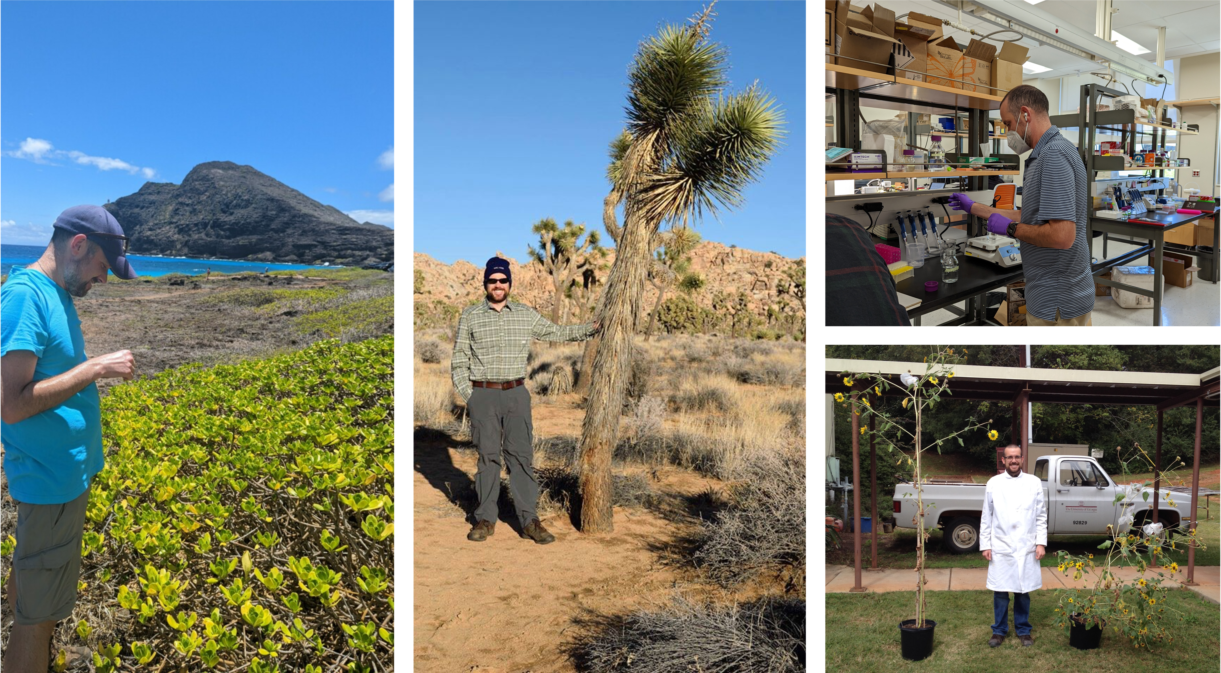 Left: Ed McAssey sampling Scaevola taccada in Hawaiʻi; Center: Ed McAssey standing next to a Joshua Tree; Upper Right: Ed McAssey performing acid titrations inside a lab; Lower Right: Ed McAssey standing between two wild sunflowers. One of the sunflowers is tall, the other is short.